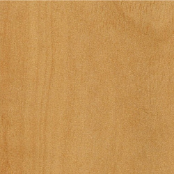 691 Береза натуральная